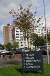 Pendleton blocks Salford